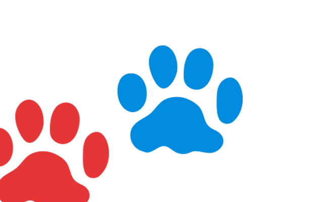 Mascotas Mascotas